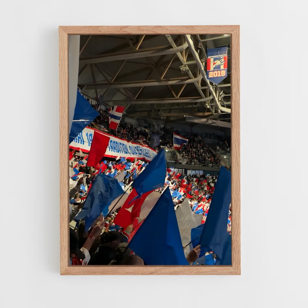 Poster La Foule de Mannheim – affiche Hockey sur glace (vue 4)